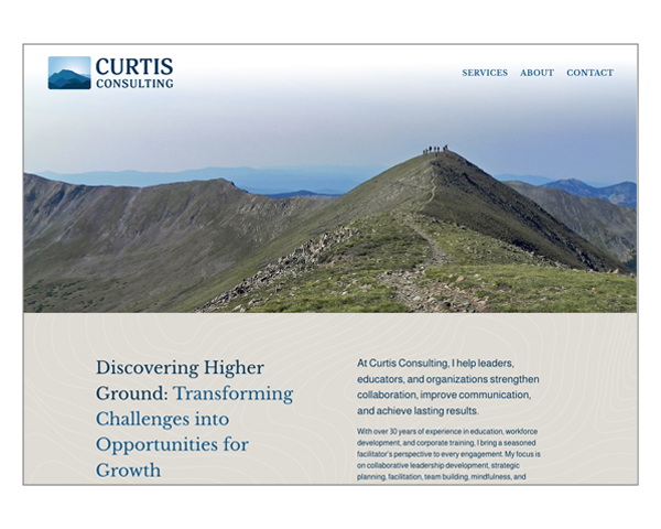 Curtis Consulting